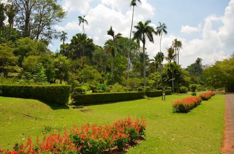 Royal Botanic Gardens, Peradeniya