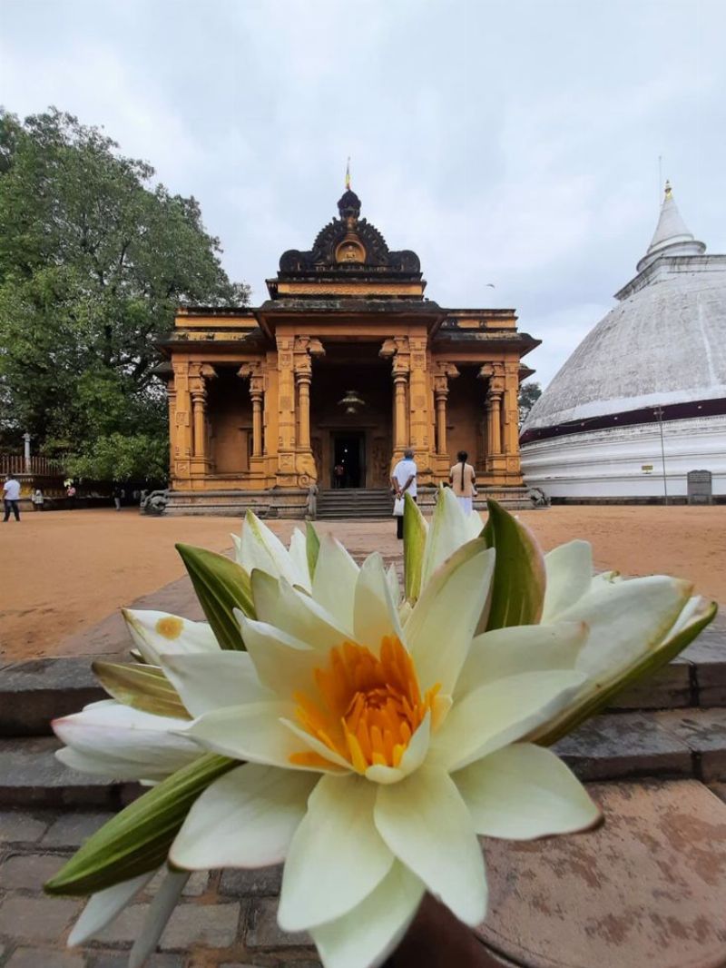 Kelaniya Raja Maha Viharaya